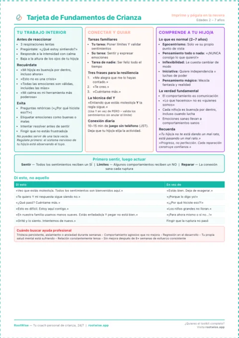 Toolkit Conexión Antes de Corrección